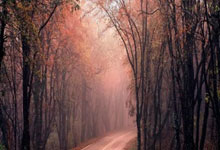 开云体育入口-0.3秒绝杀！江西队以毫厘之姿问鼎华东荣耀之巅