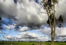 开云体育下载-摩洛哥瓦赫达全力冲击冠军，关键球员备战状态受关注