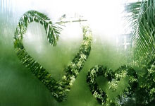 开云体育平台APP-乌克兰国家队的决赛之路：梦想破碎的背影