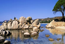 开云体育中国-卡尔蒂斯核心球员体能管理，世俱杯冲刺关键因素