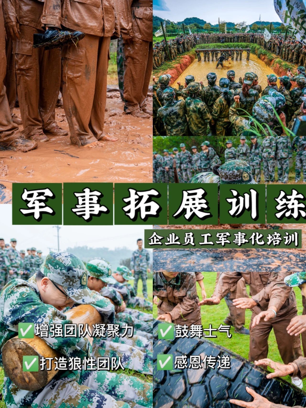 开云体育登录-战术革新：球队战术调整备受关注的简单介绍