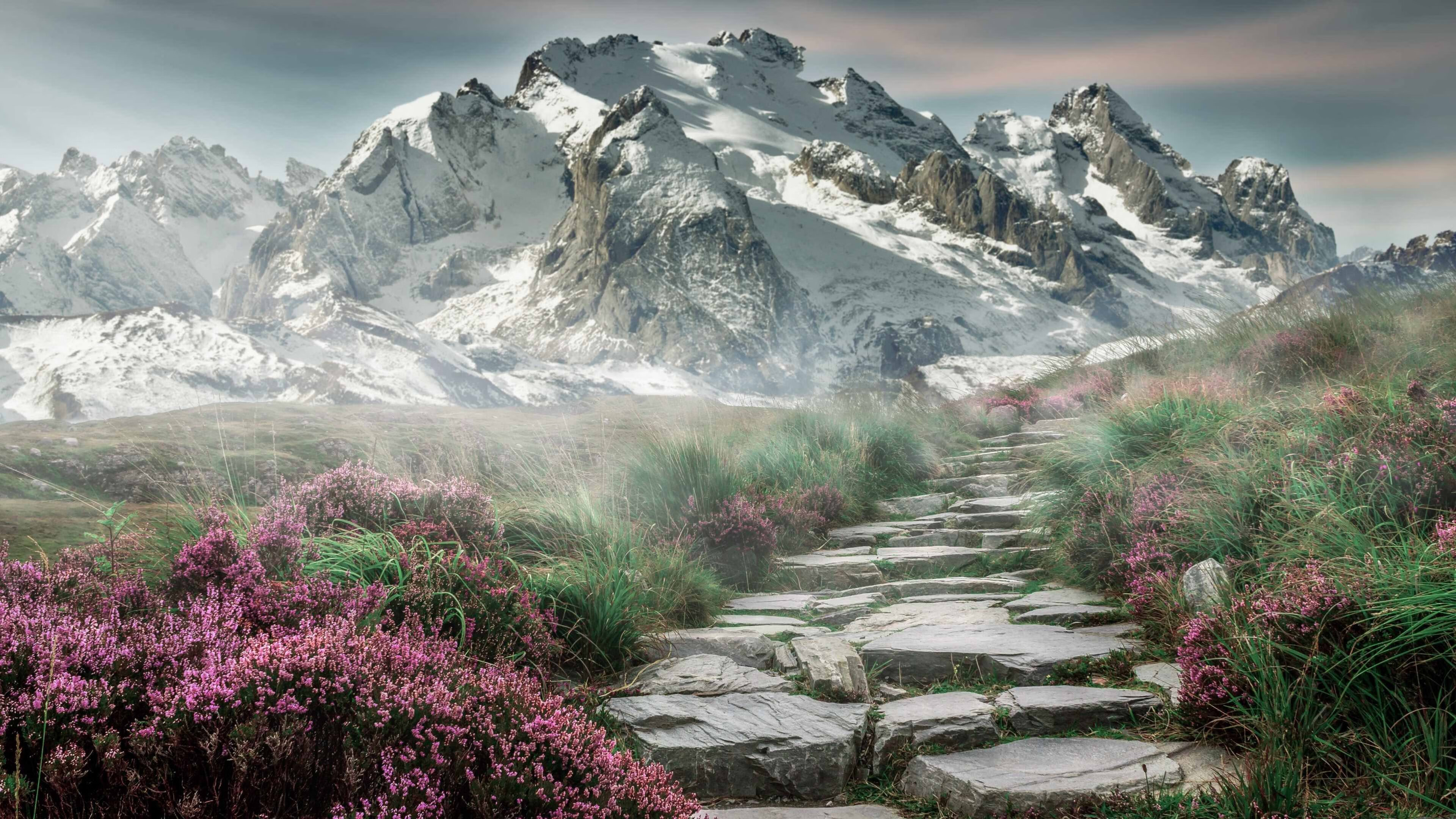 开云APP-铁壁防守锁死汽车城，拉文利刃出鞘定乾坤