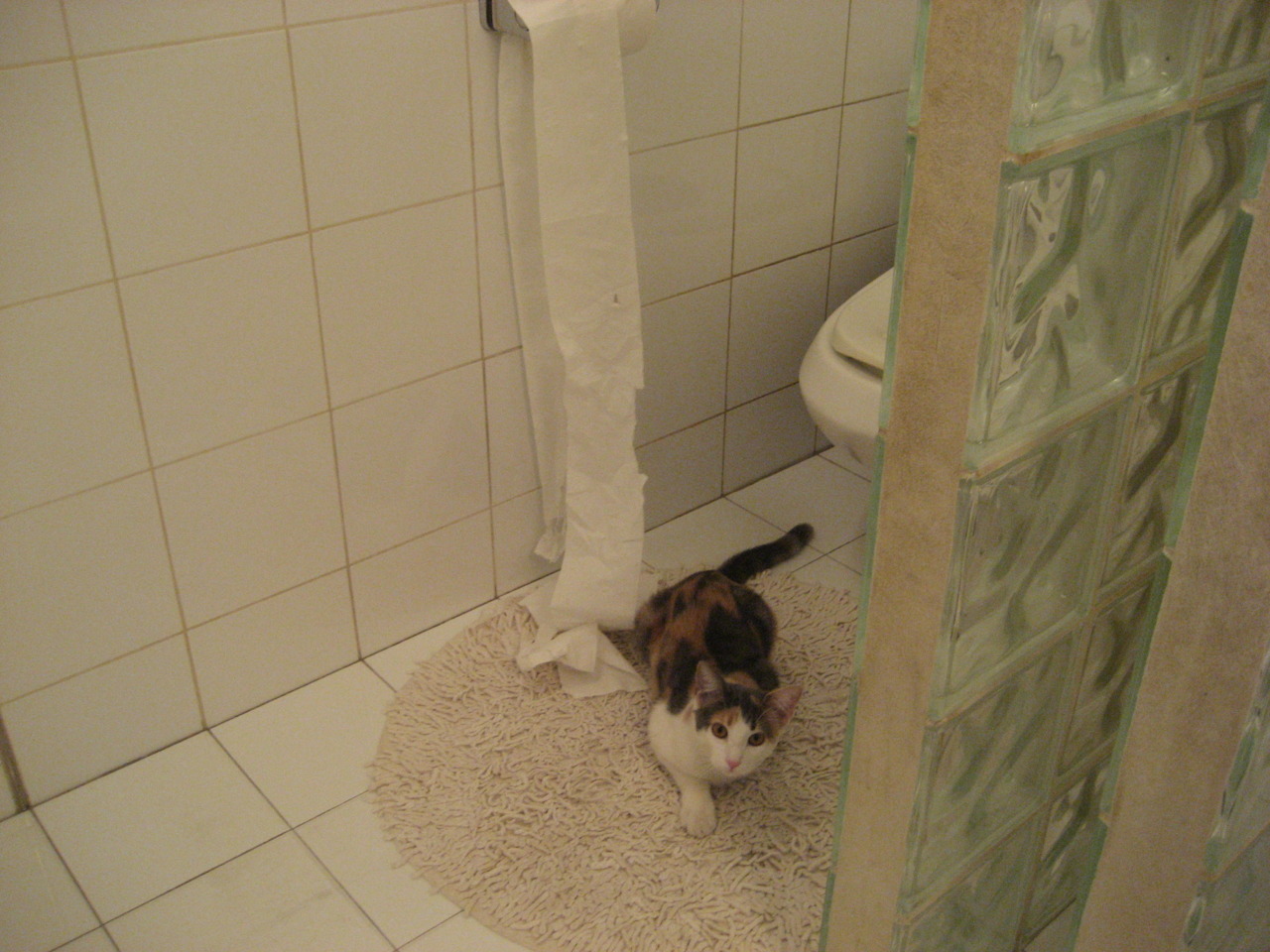 开云体育平台APP-当孔德的呼吸融入时间，希腊压哨绝杀背后的叙事颠覆