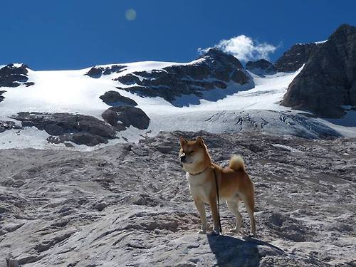 开云官网-跨越界限的救赎，厄德高在巴萨对几内亚友谊赛的奇迹时刻