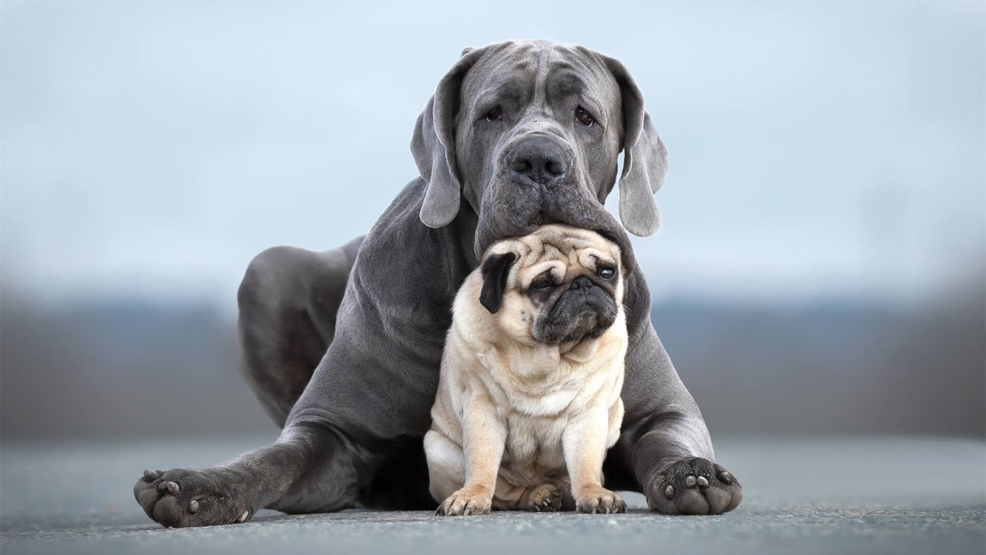 冰火两重天!快船啃下太阳,那个被忽视的巨塔才是真正的胜负手