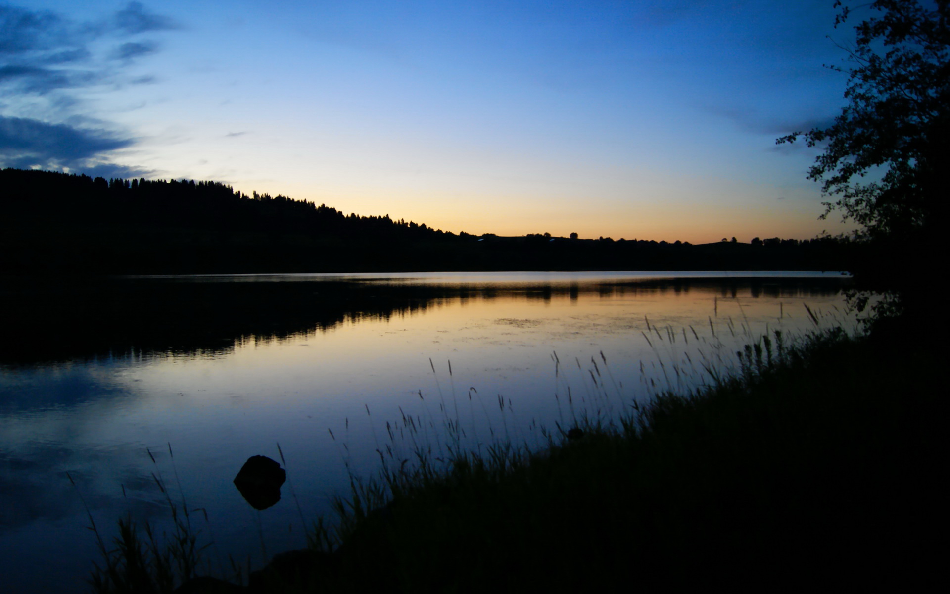 开云体育-新疆队强势晋级雷霆之战，塔图姆关键先生闪耀全场