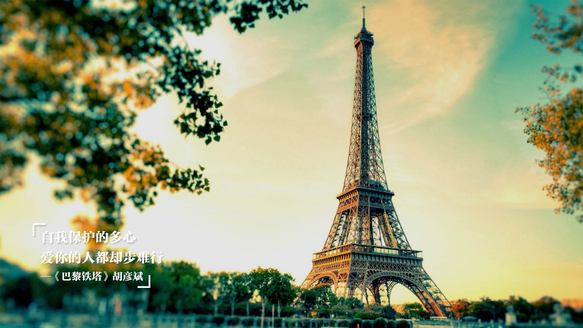 开云体育在线-鹰翼折于蜂刺，美加墨世界杯焦点战，黄蜂打穿老鹰！