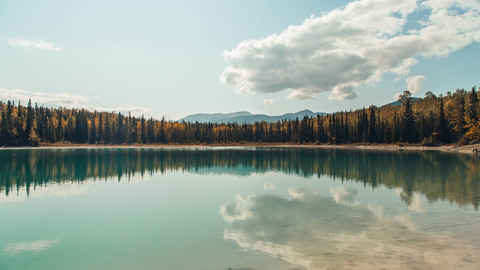 元宇宙巅峰对决,开拓者收割北京队,哈登彻底打爆防线