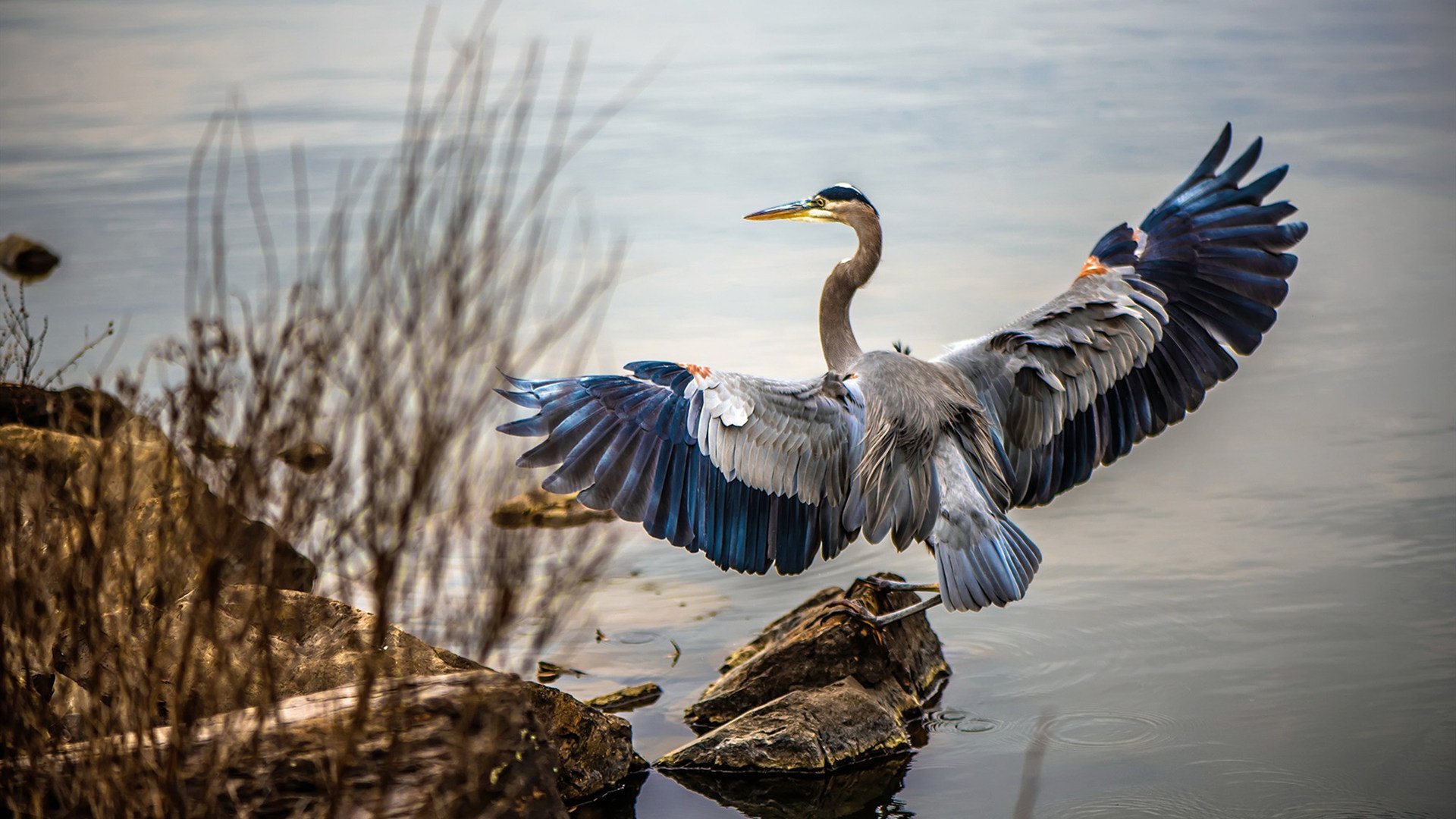 独闯龙潭!特奥一己之力导演逆转,里昂斩落亚特兰大背后的关键先生