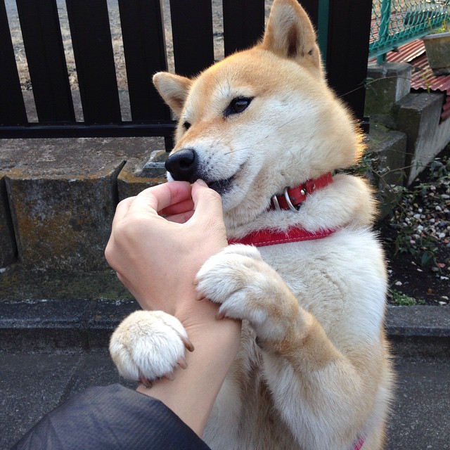 欧冠决赛地震中断,直播意外切入步行者单节狂胜火箭