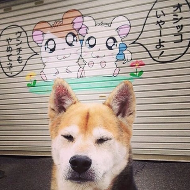 钢铁对决,当巴萨的血性遇见独行侠的硬度