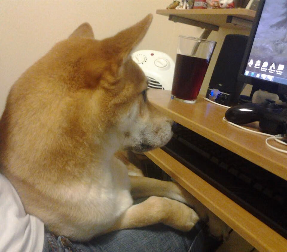 开云体育下载-掌控节奏，统治末节，戈贝尔如何以非典型方式成为灰熊擒牛的关键先生