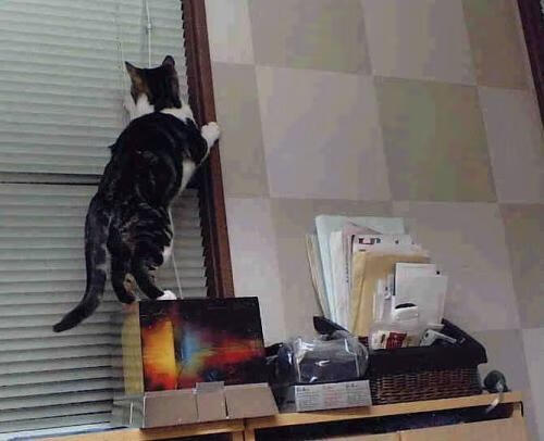 枪炮与玫瑰的对决，阿森纳的钢铁阵线如何正面击溃巴萨，而梅西的锋芒依然刺破夜空