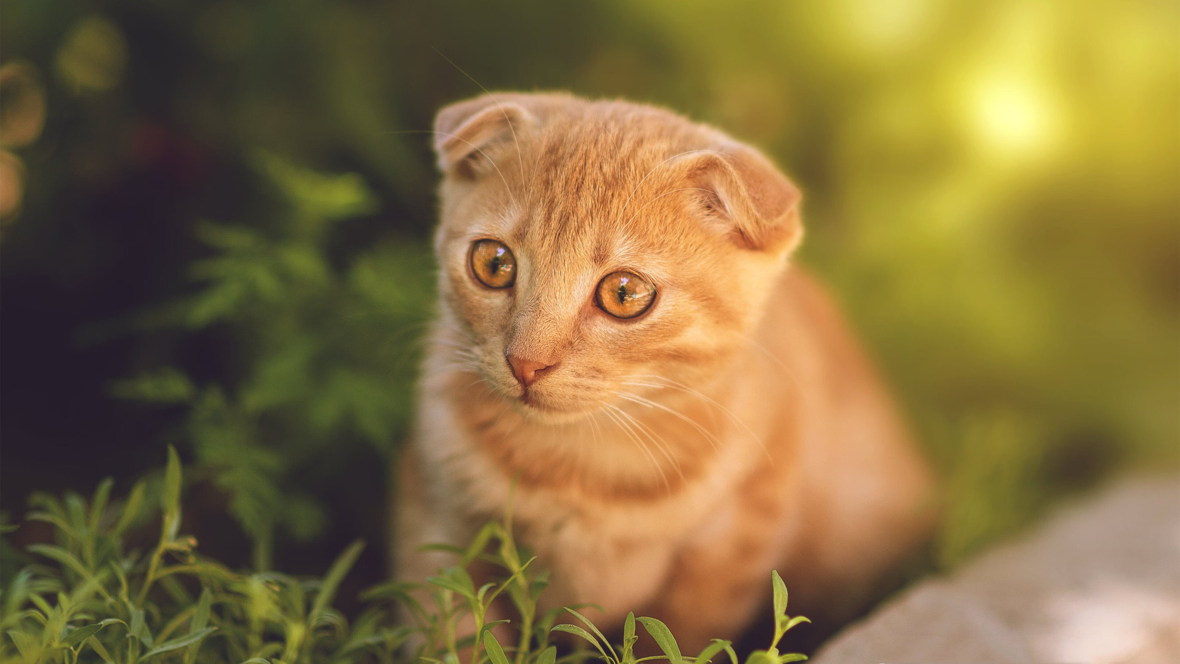 北欧风暴席卷伊比利亚，阿圭罗数据封神之战