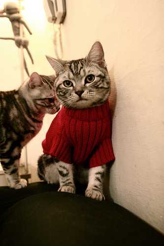 逆流中，詹姆斯的钢铁脊柱，当76人的铁蹄踏过北京队的荣耀