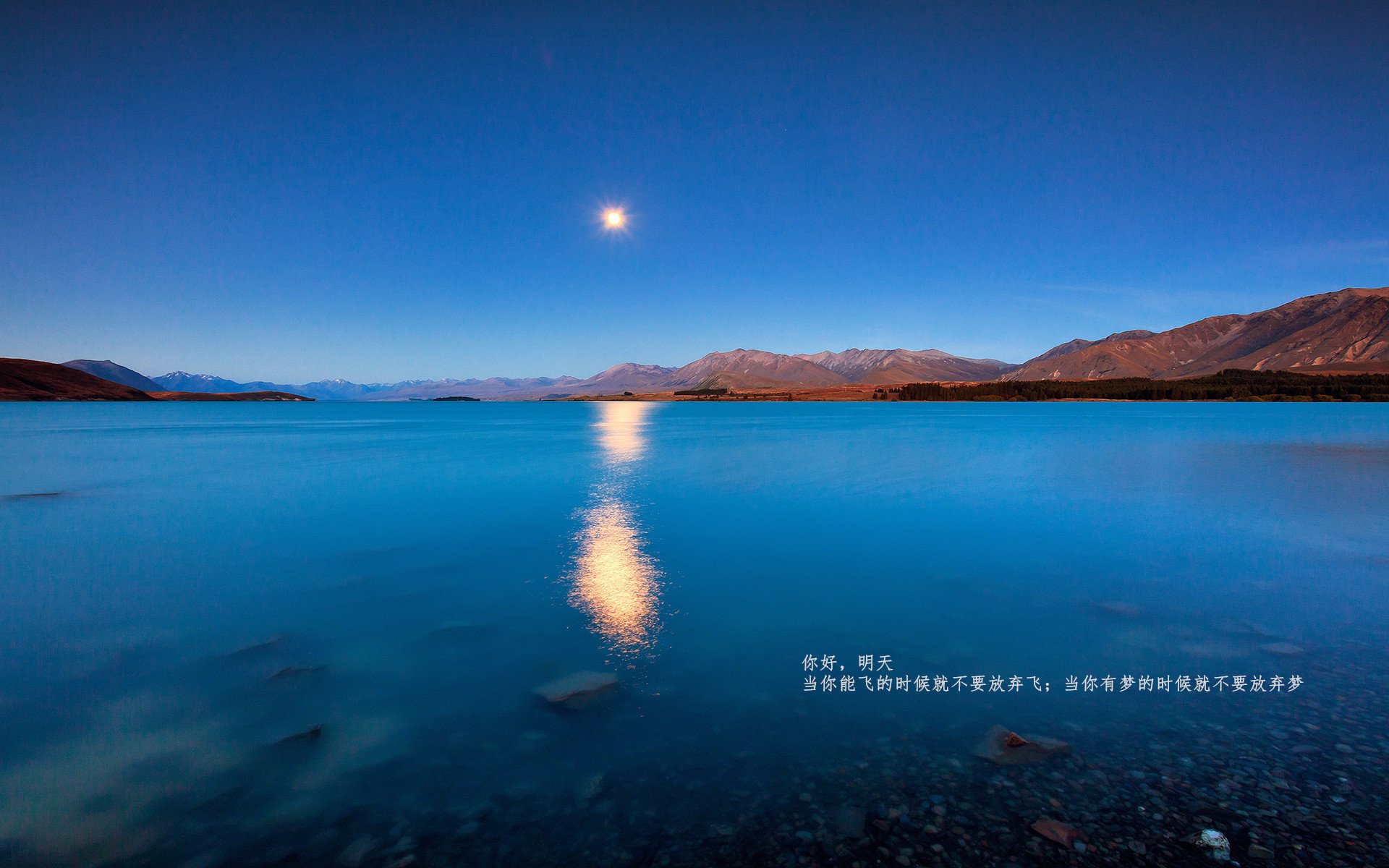 开云体育平台APP-打出奥运周期关键战气势！浙江队击溃凯尔特人展现中国篮球新力量