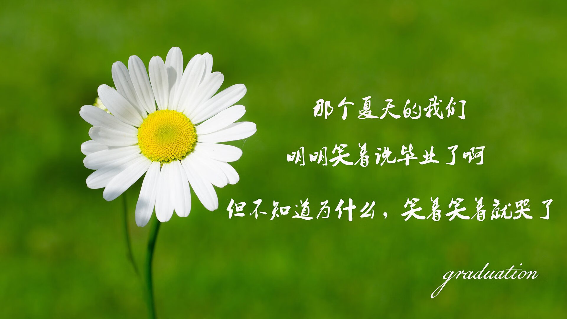 北欧铁骑破沙漠，瑞典力克沙特，罗德里戈闪耀H组强强对话