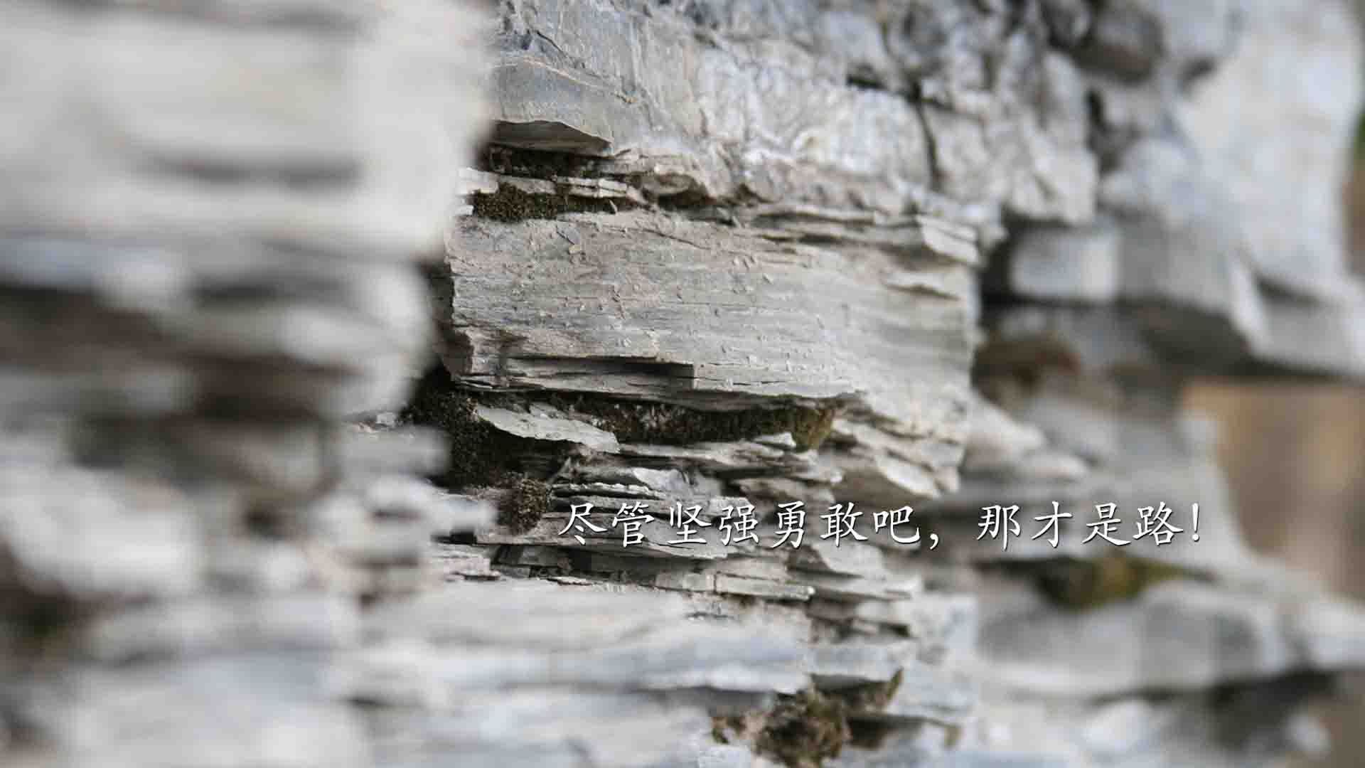 北欧童话再临,日耳曼战车轰鸣,京多安闪耀,丹麦完胜哥斯达黎加引爆2026世界杯F组